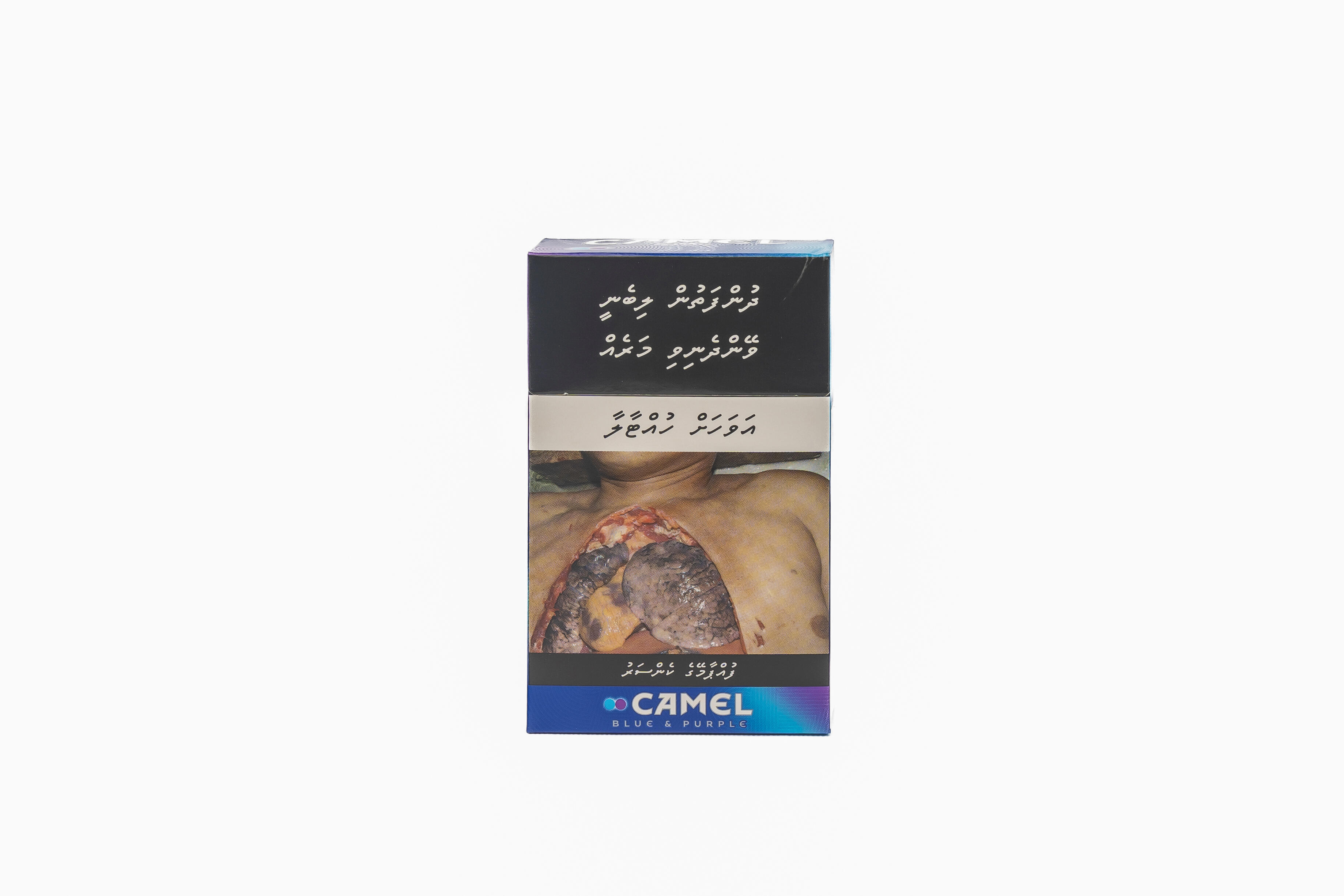 CAMEL BLUE & PURPLE